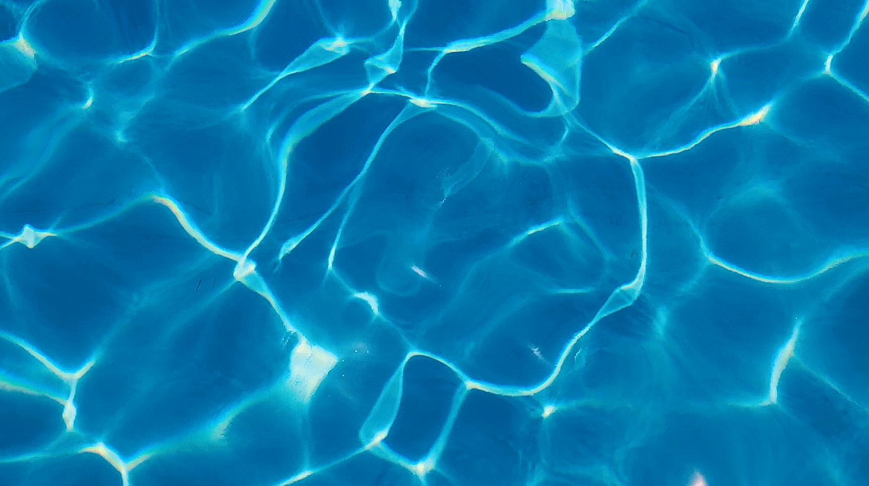 eb0929666f24f.png