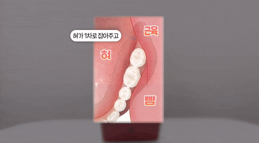 진건읍_치과_05.gif