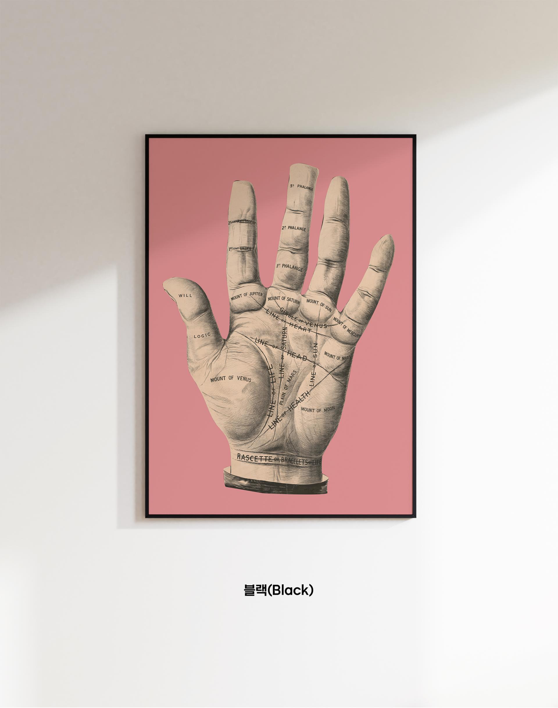 Palmistry
