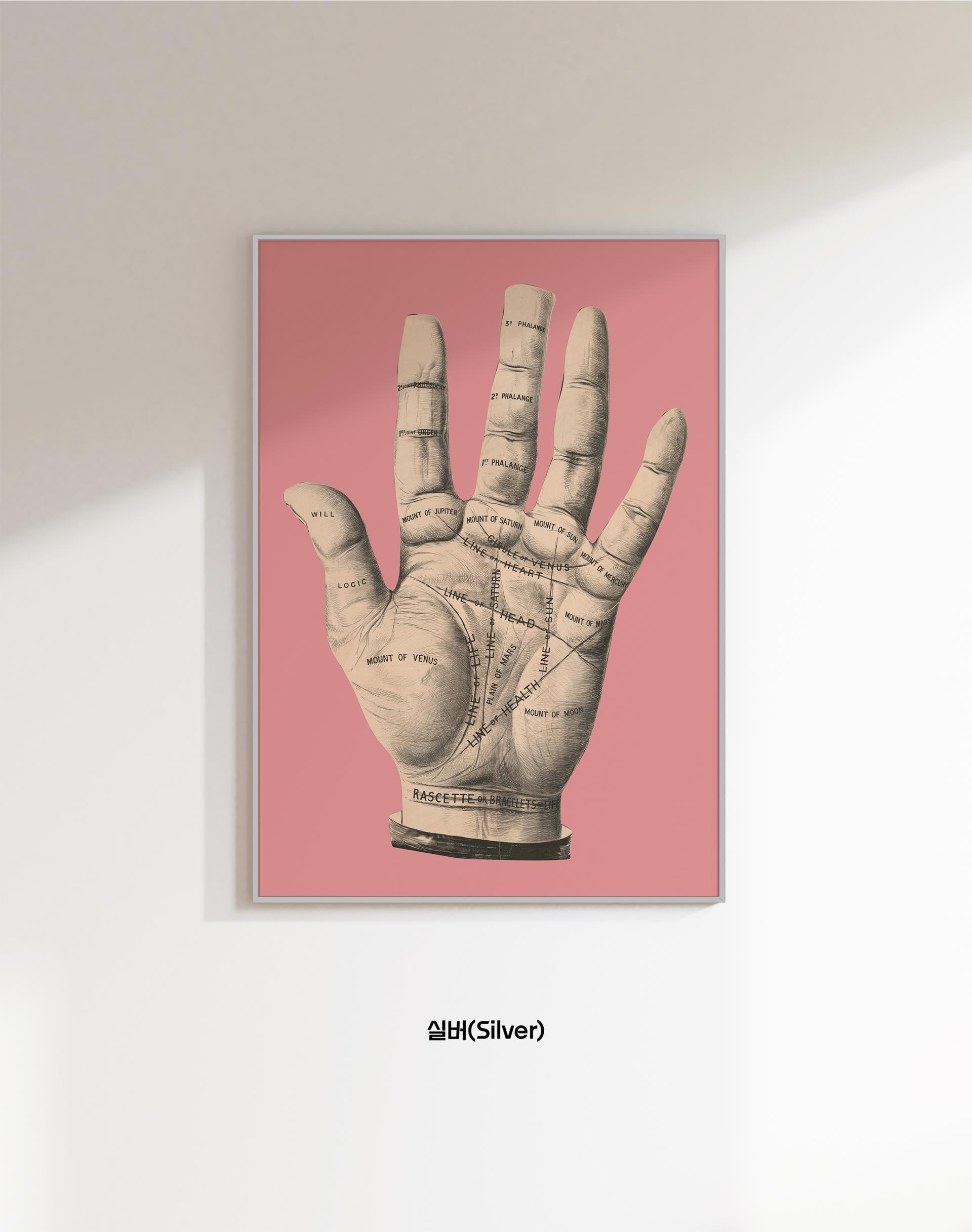Palmistry