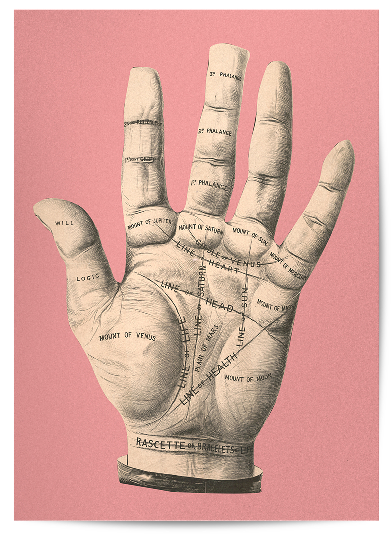 Palmistry