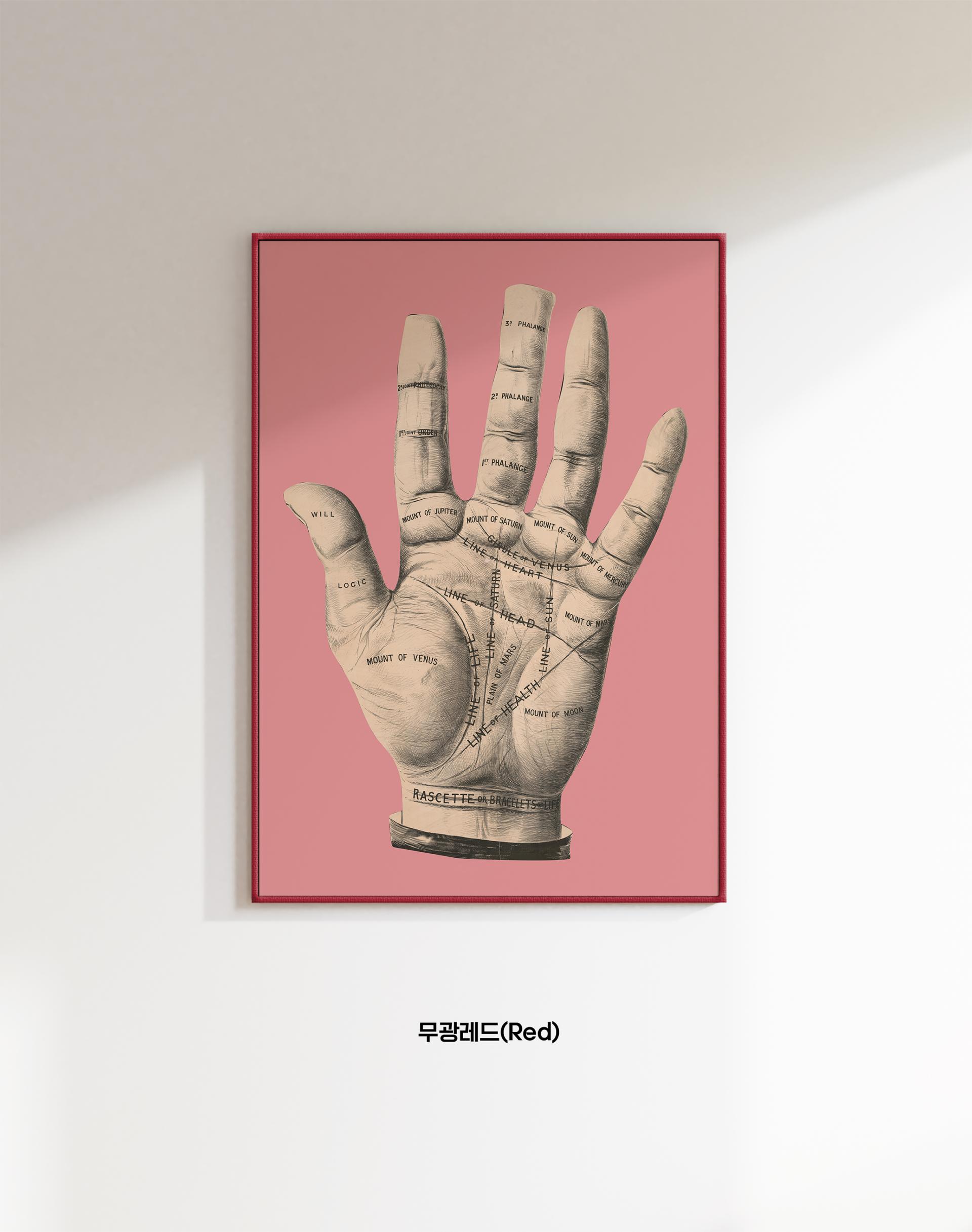 Palmistry