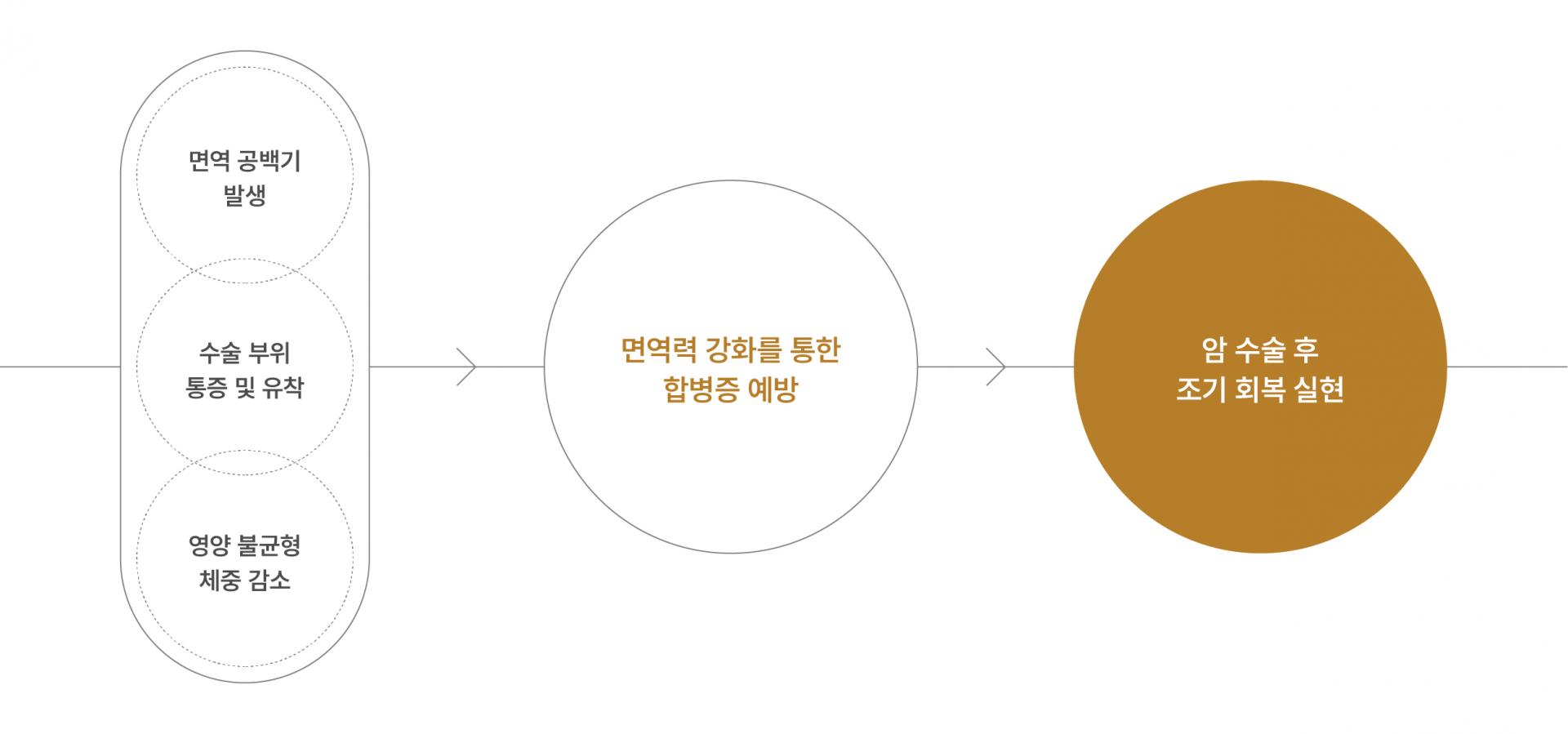 수술 전후 관리