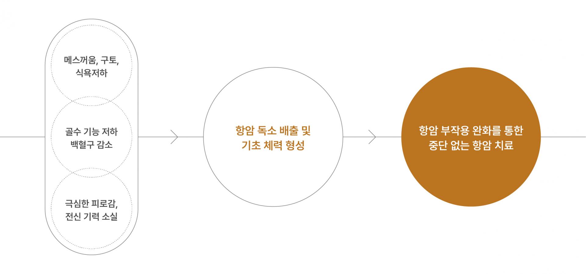 항암 전후 관리