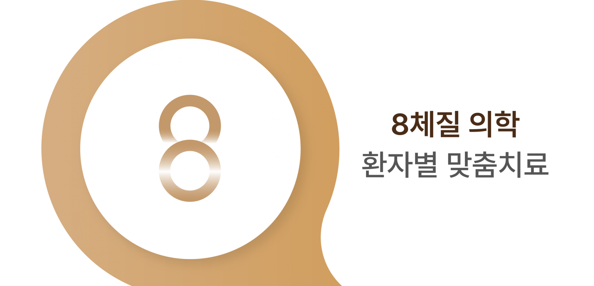 8체질 의학 환자별 맞춤치료