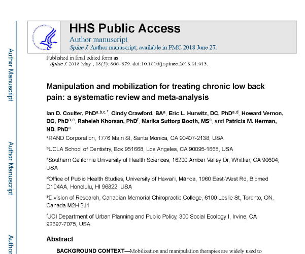 운동치료 논문 이미지
