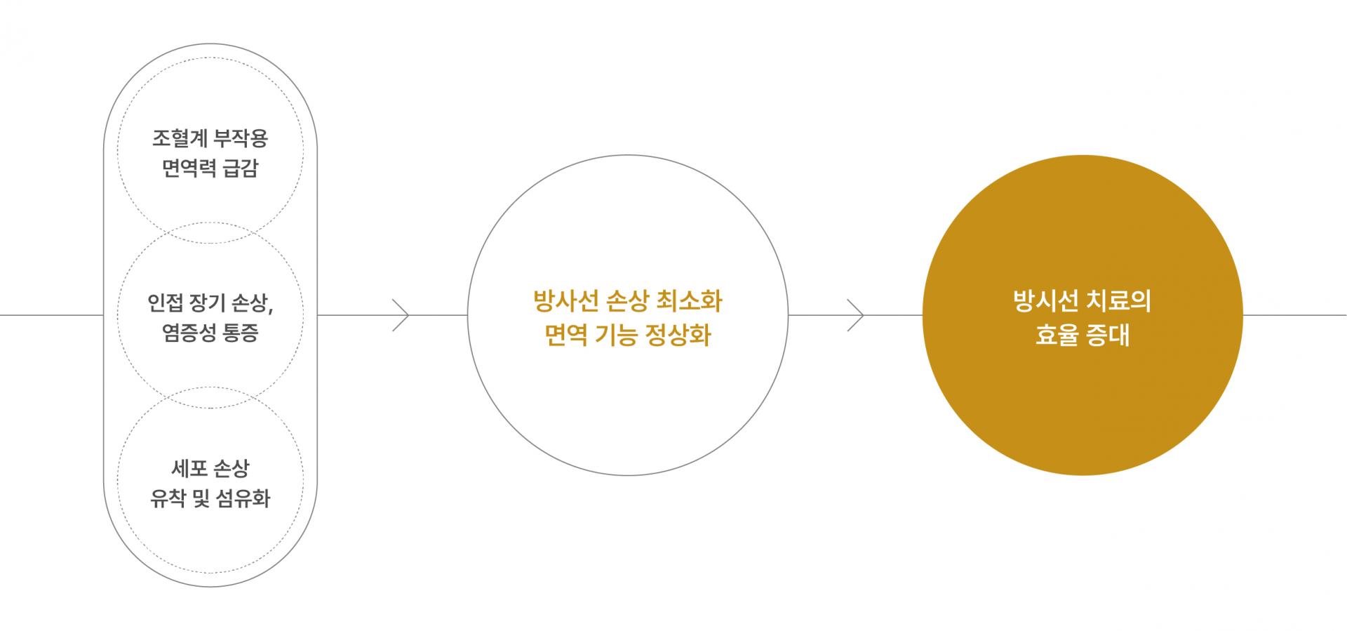 방사선 전후 관리