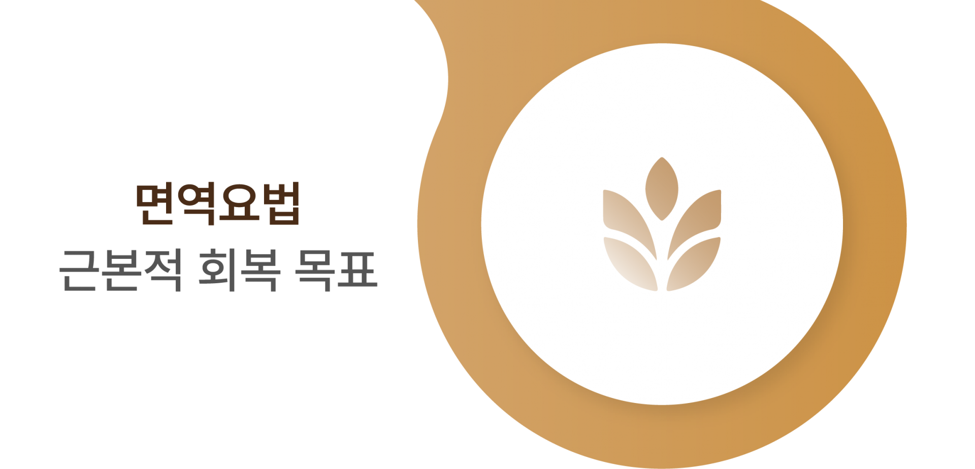 면역요법 근본적 회복 목표