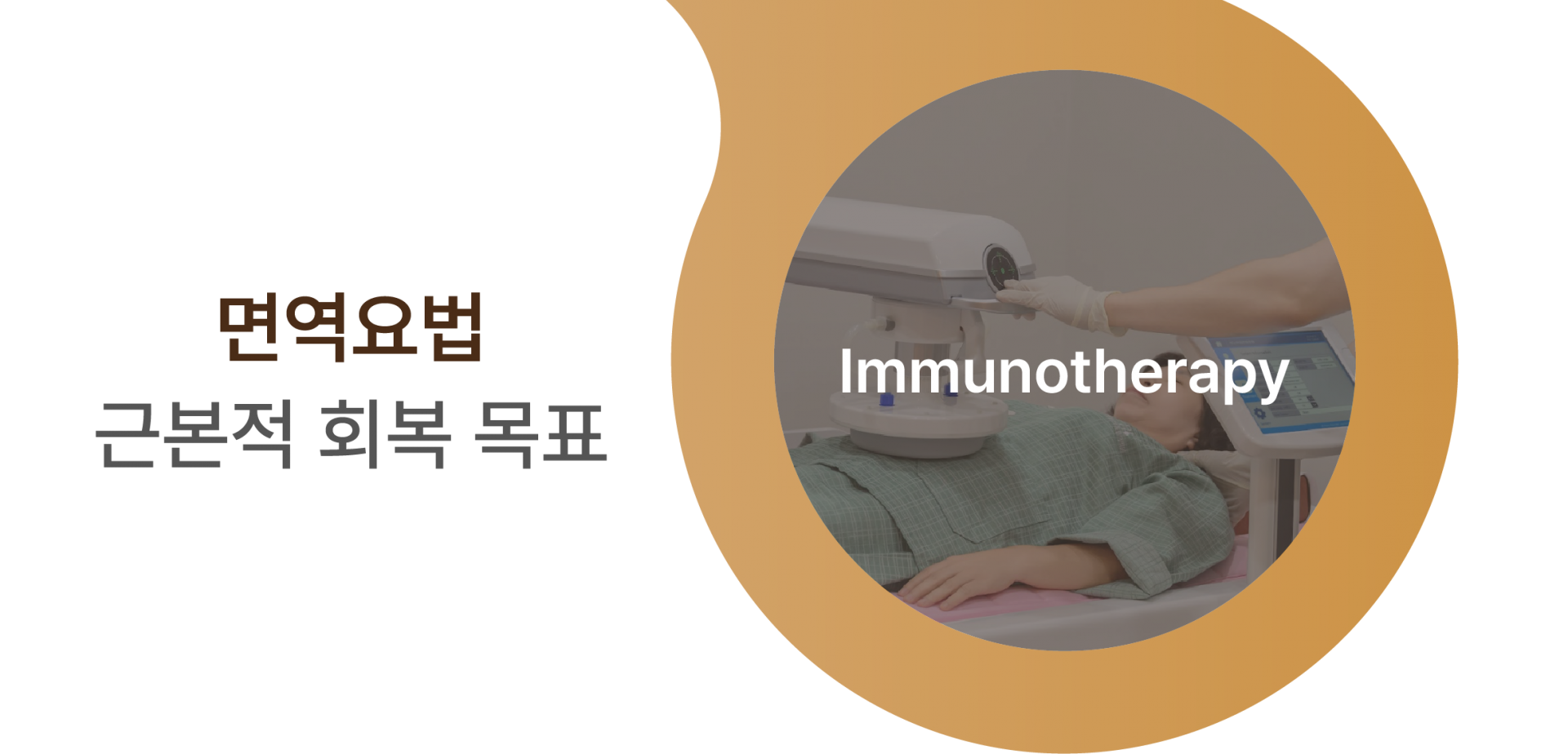 면역요법 근본적 회복 목표