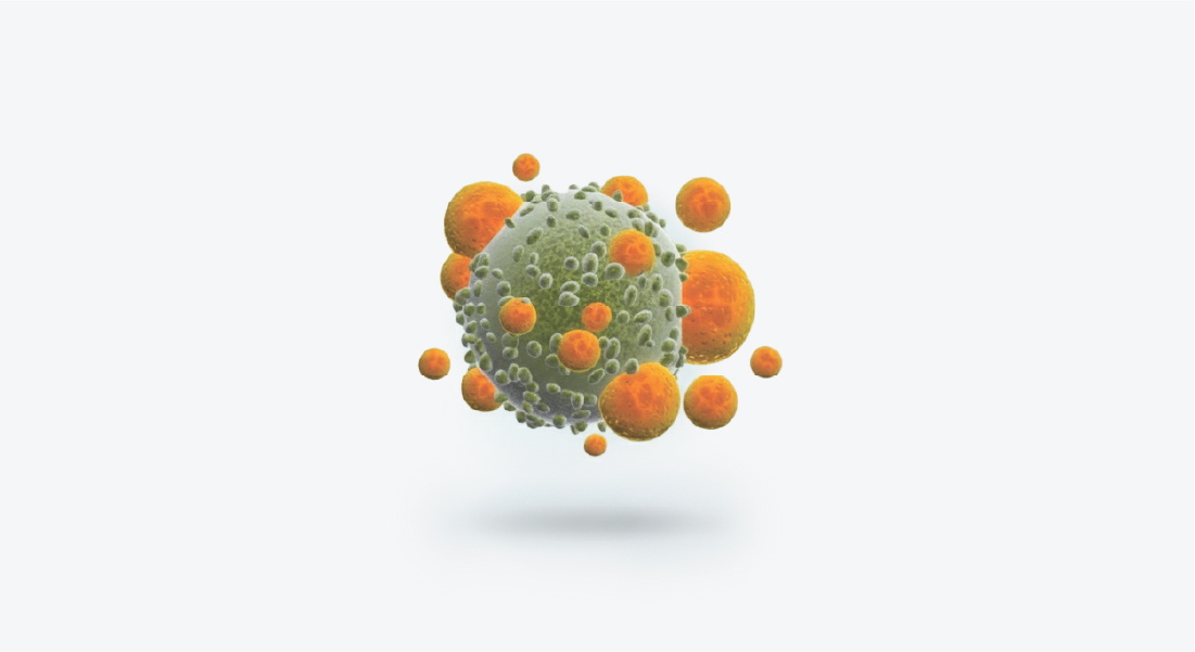 이스미젠 설하정