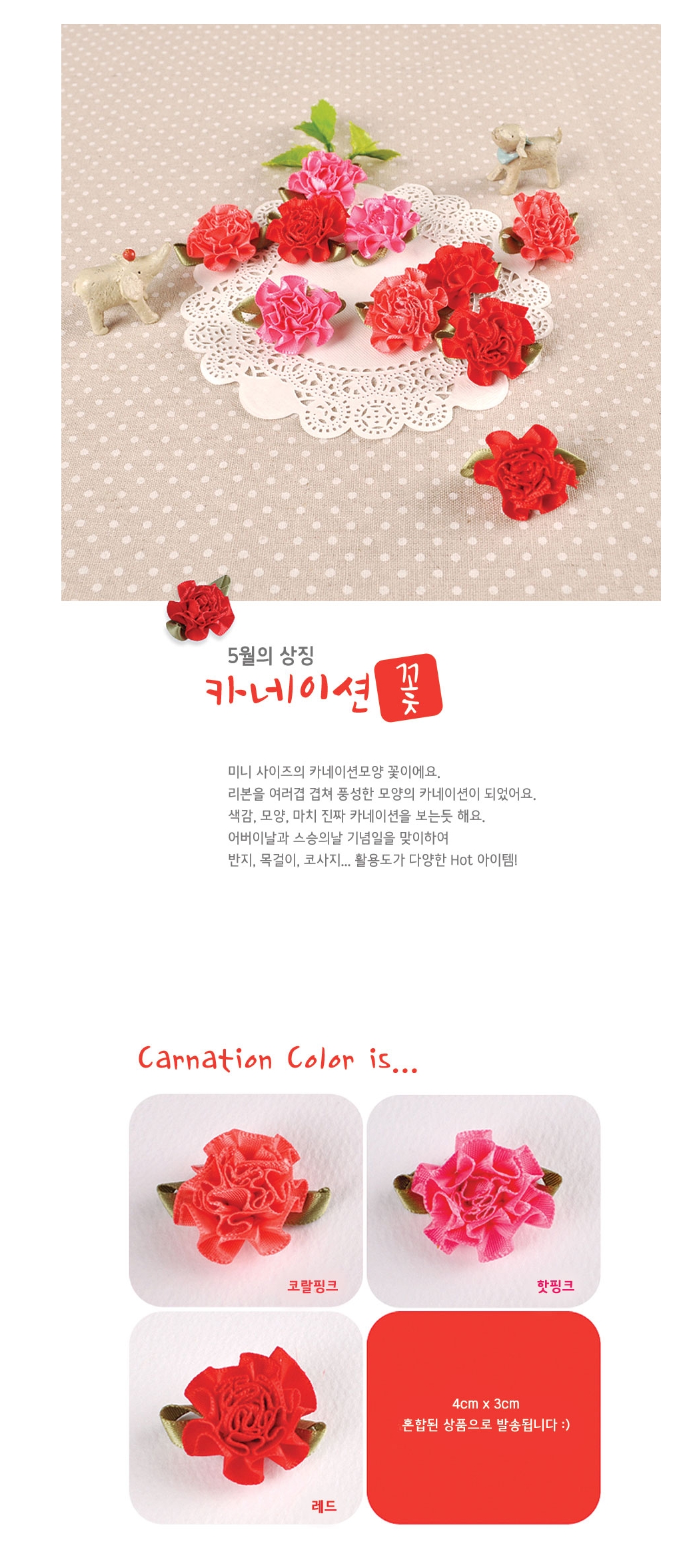 미니 카네이션(10개)