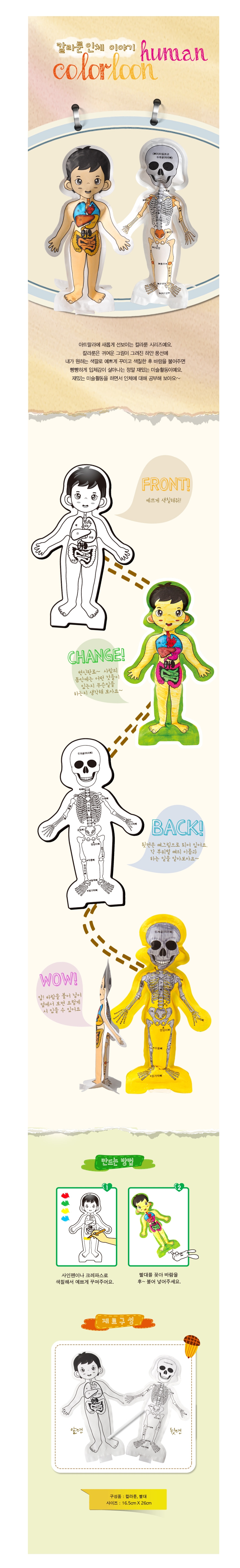 컬러룬_인체 이야기(1개)