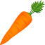 carrot