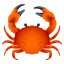 crab