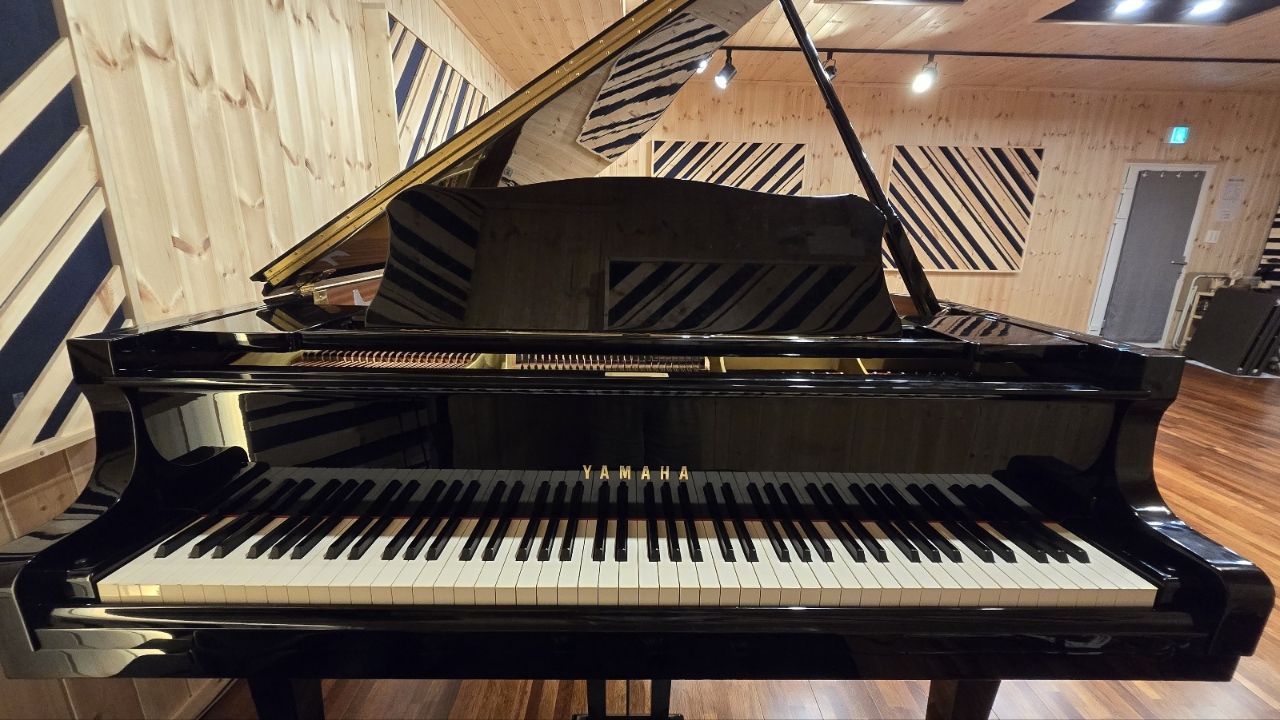 bbcc8a68ea6b2.jpg