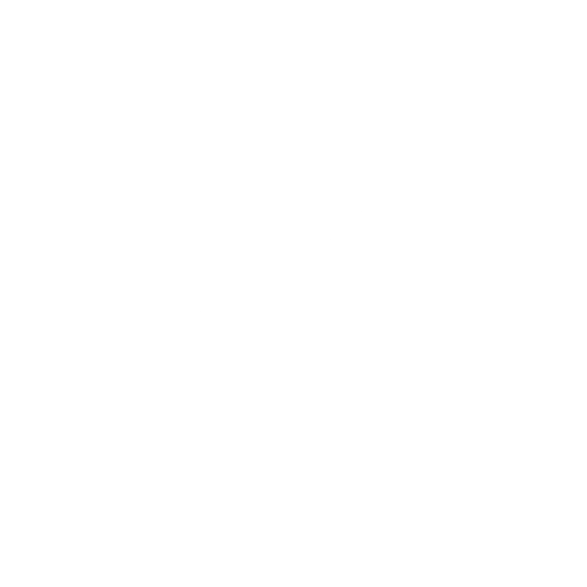 파파존스