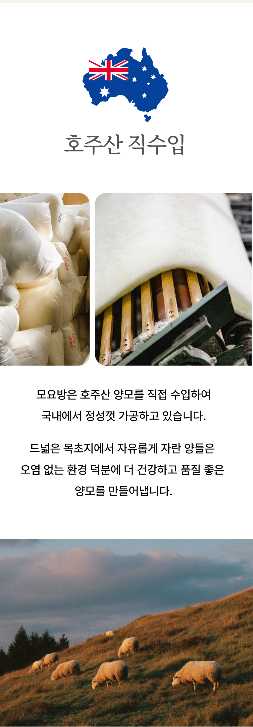 간절기용 얇은 양모 차렵이불 (SS, Q) 3color