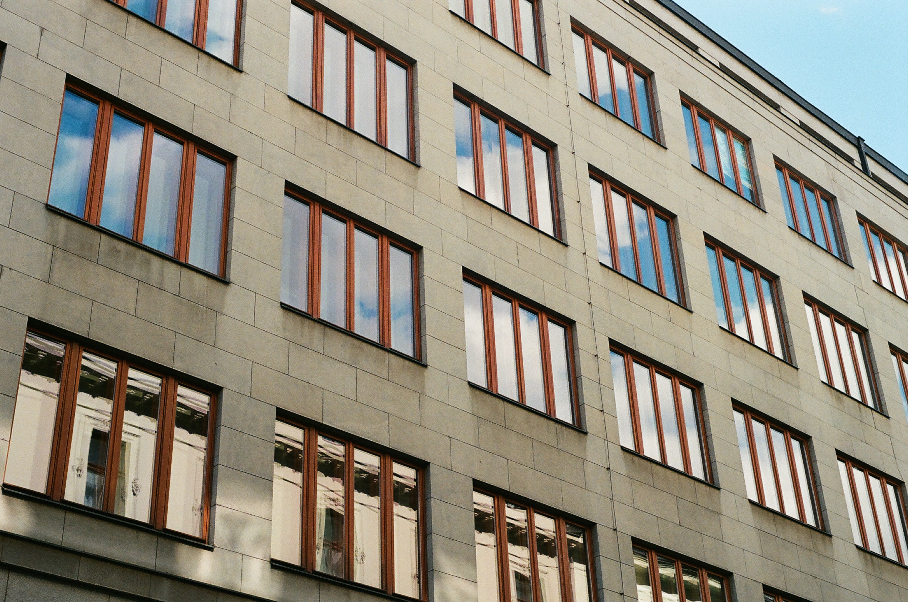 354ed4443e656.jpg
