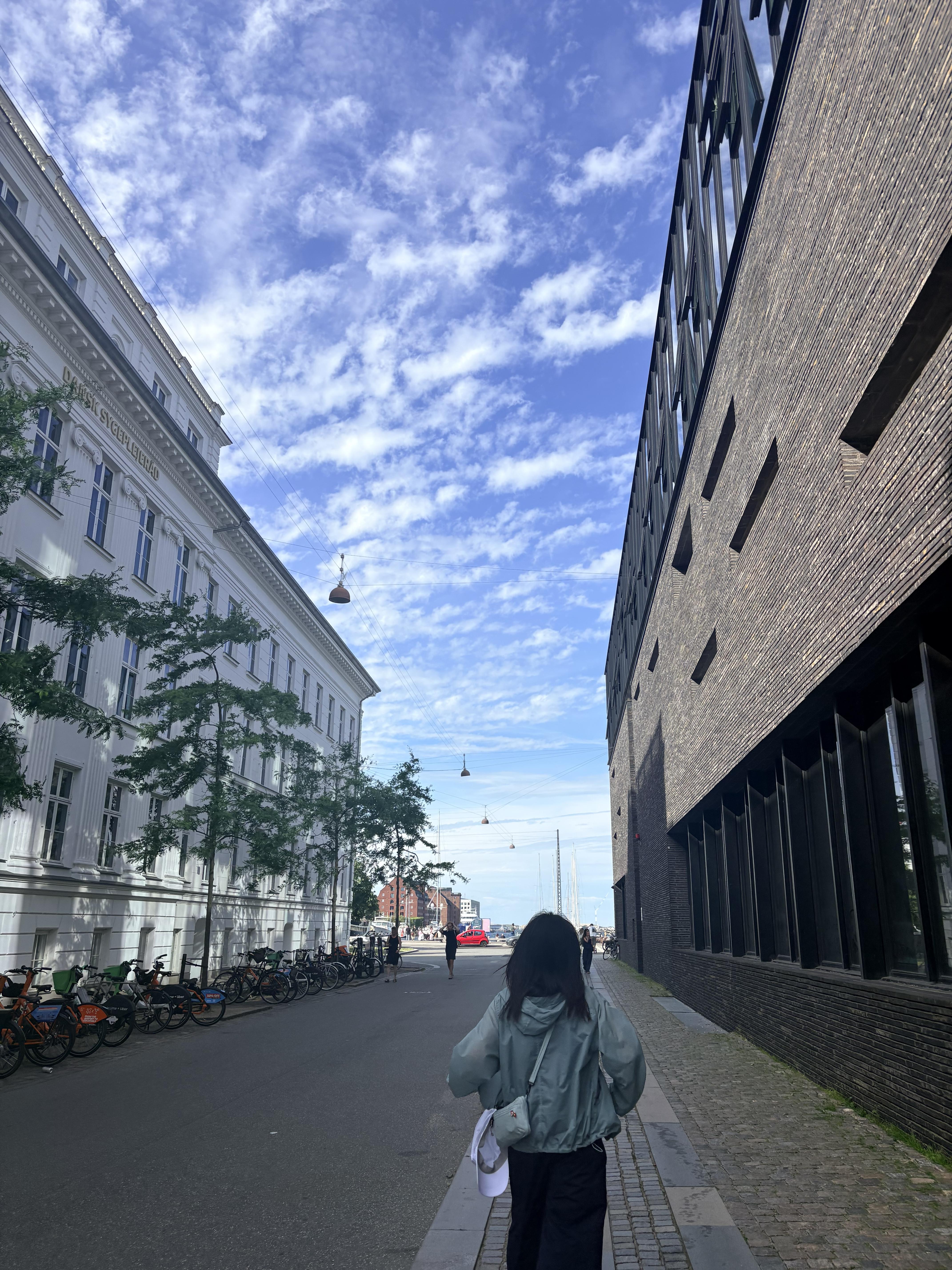 4cbd7c01a6403.jpeg