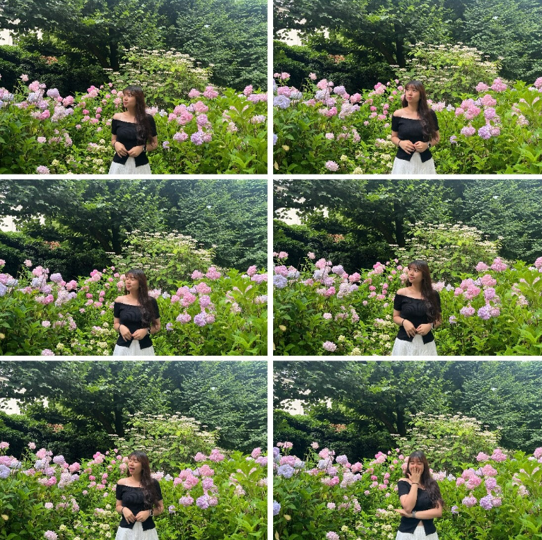 6d4f942366e09.png