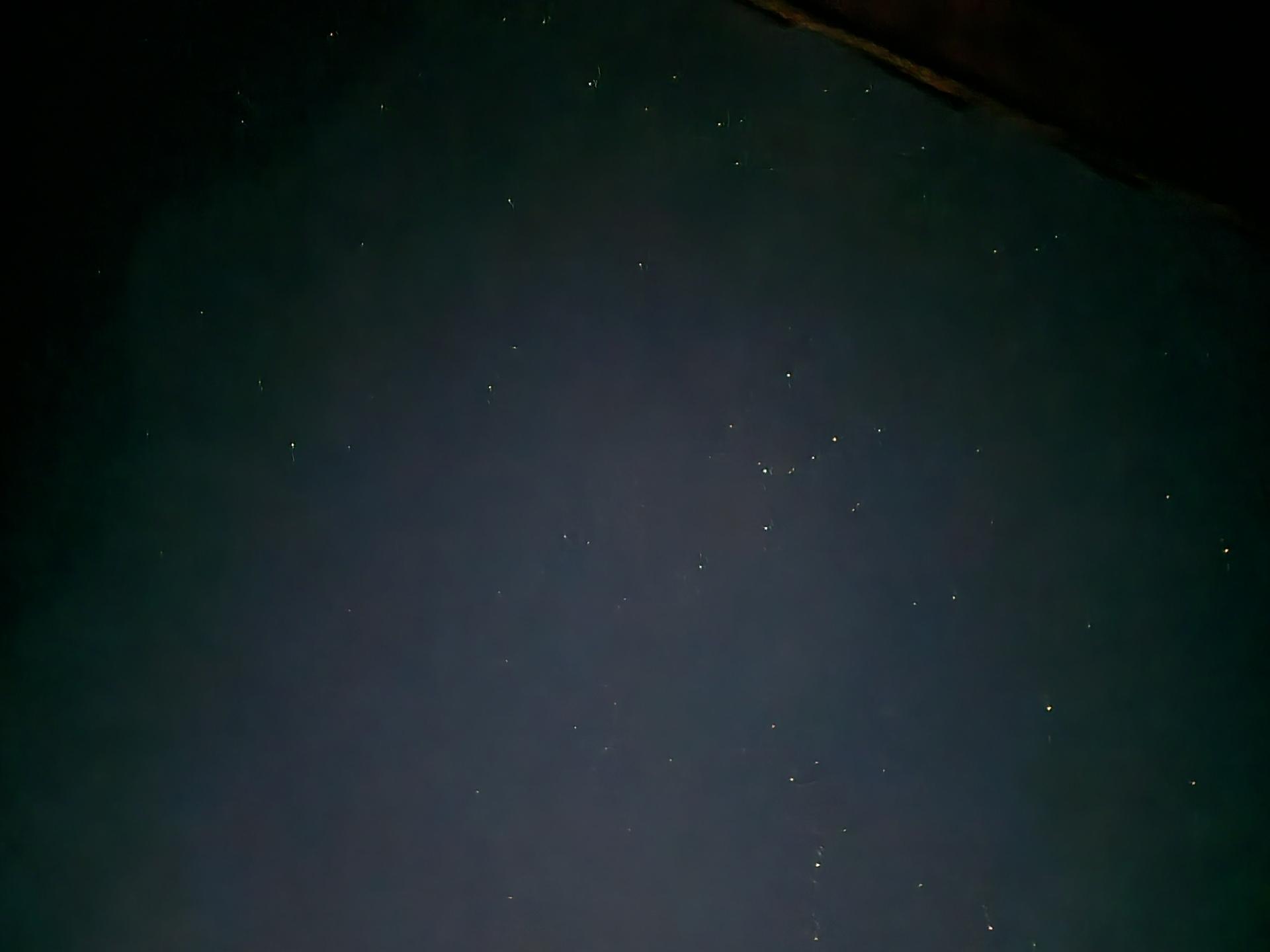 8076d77628ff0.jpg
