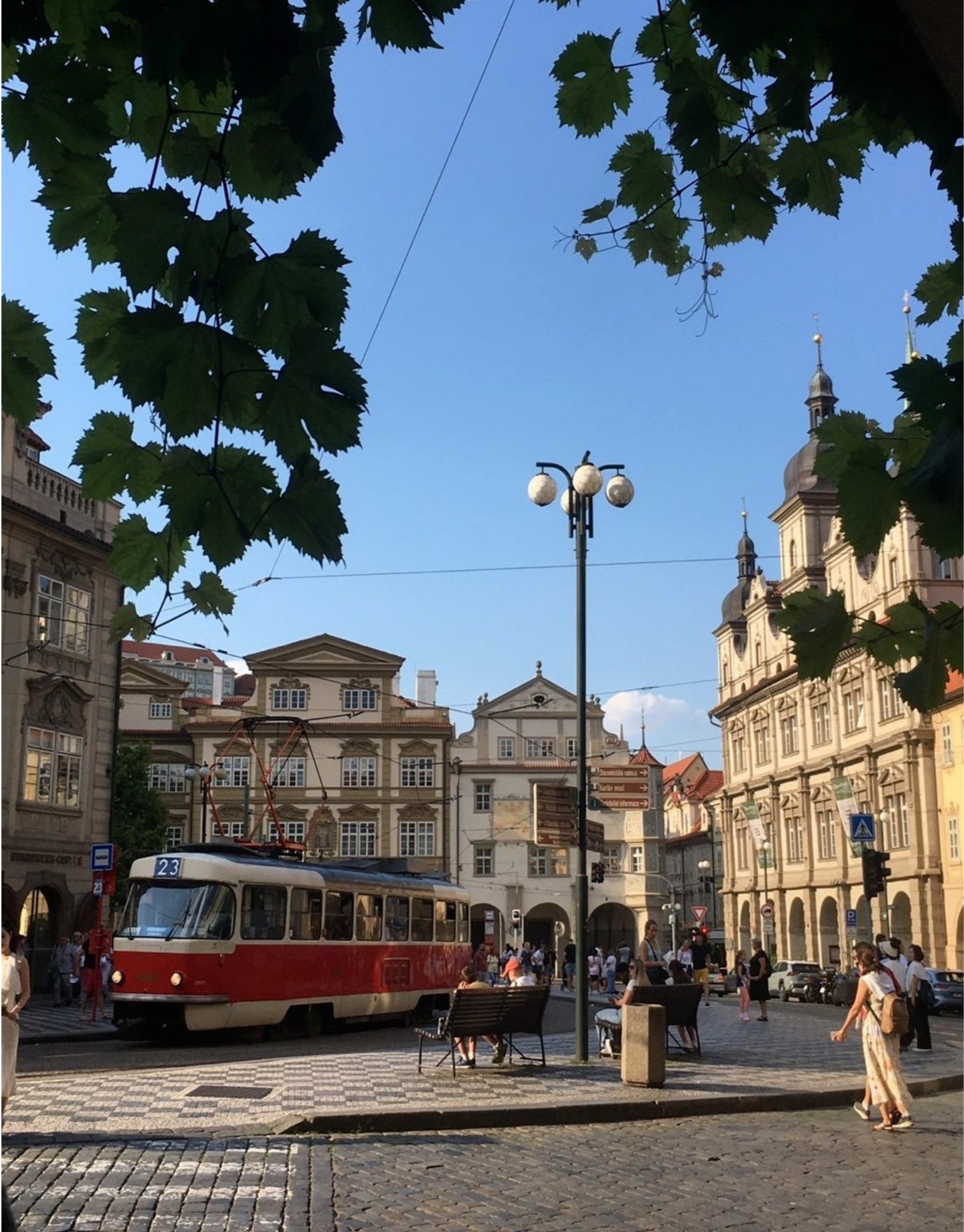 190기 박시연님 사진7.jpg