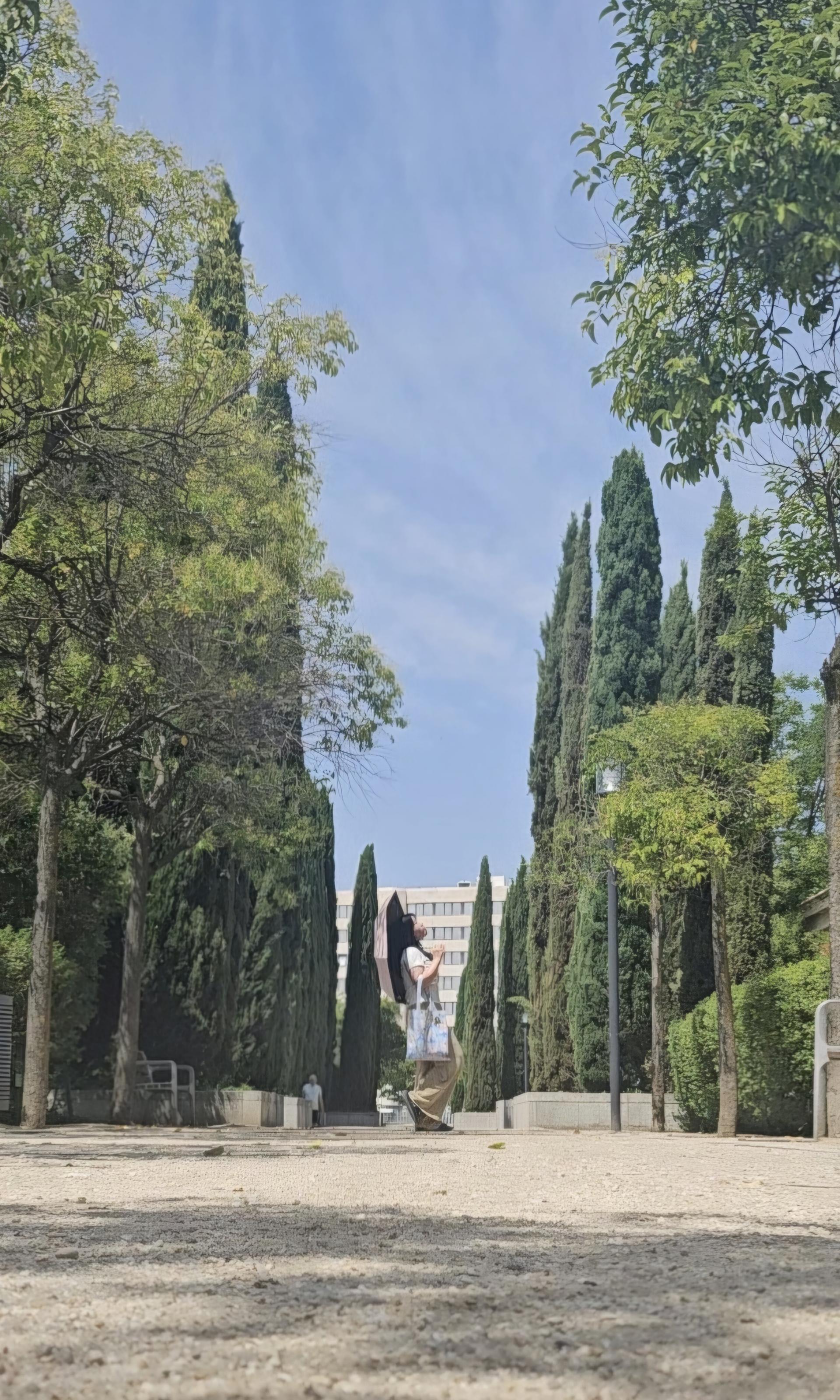 cccaa8a191c5c.jpg