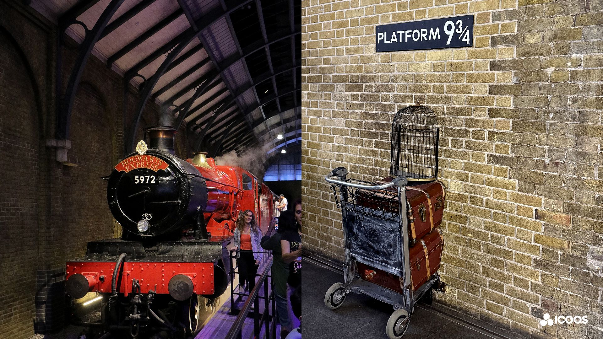 f37d7a5c184a3.jpg