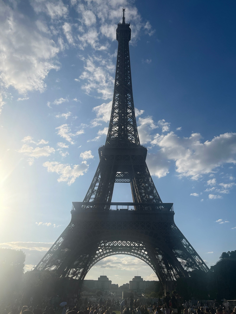f77572463e25a.png
