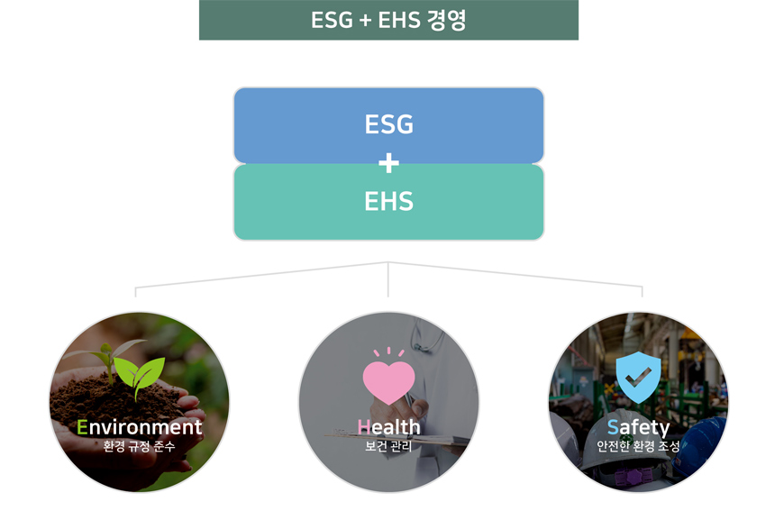 05a95efbf85dc.png