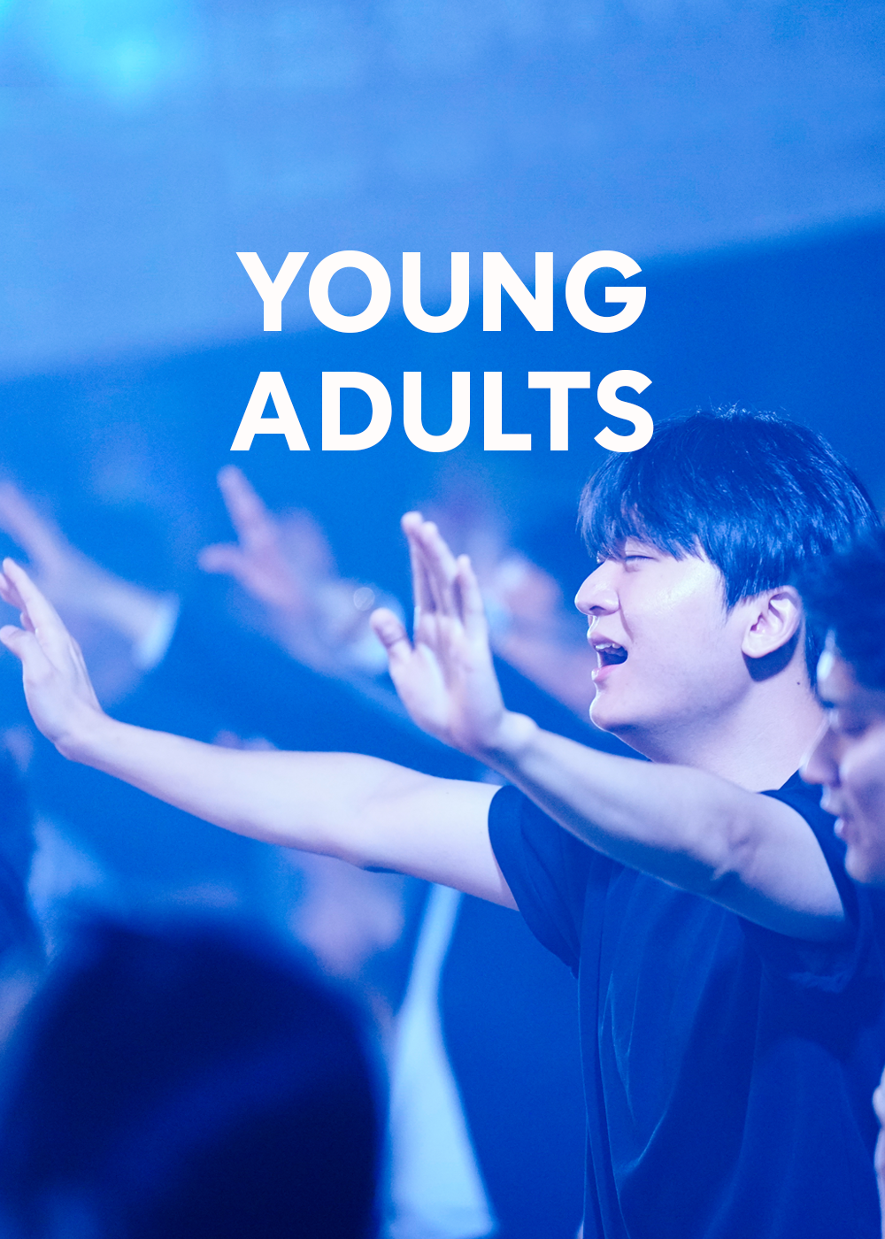 young adult.png