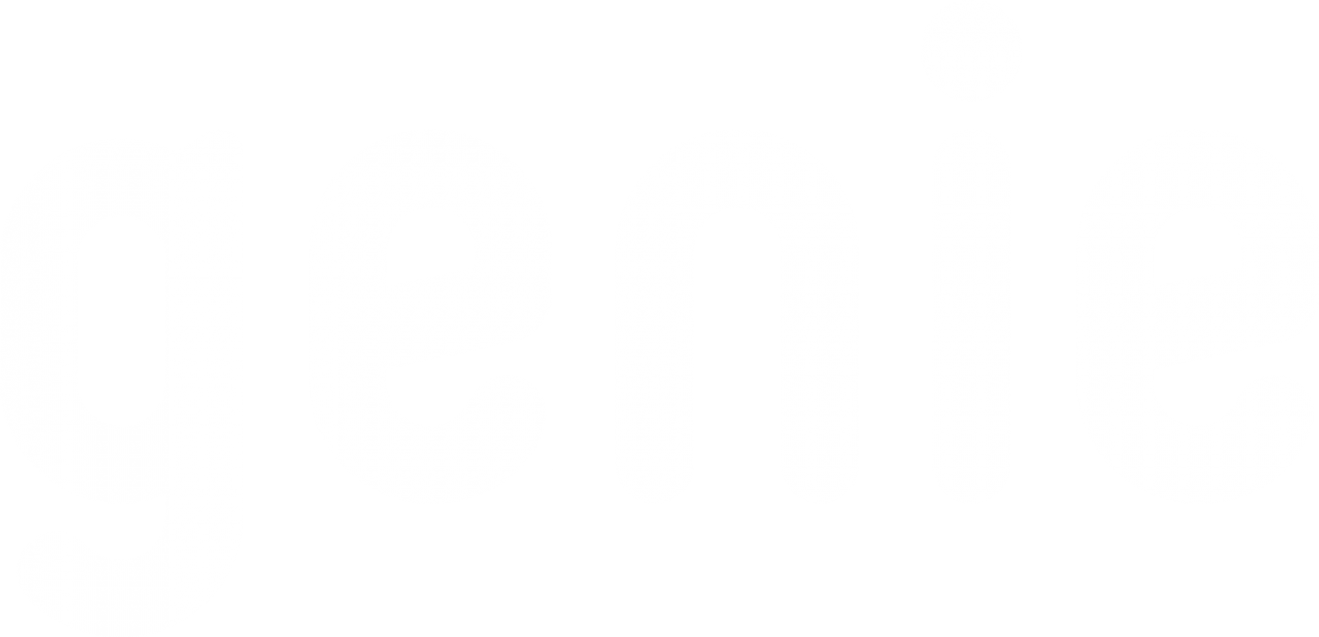 genie_BI_logotype_white.png