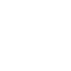 icon-3-06.png