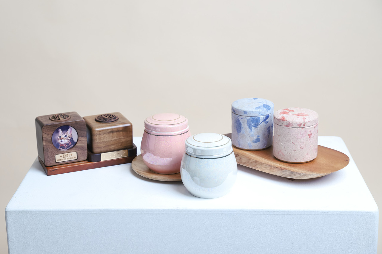 펫문 서비스 후기 이미지 5