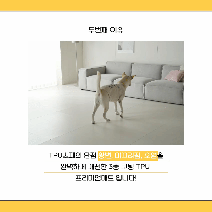 fe6ed33e236be.gif