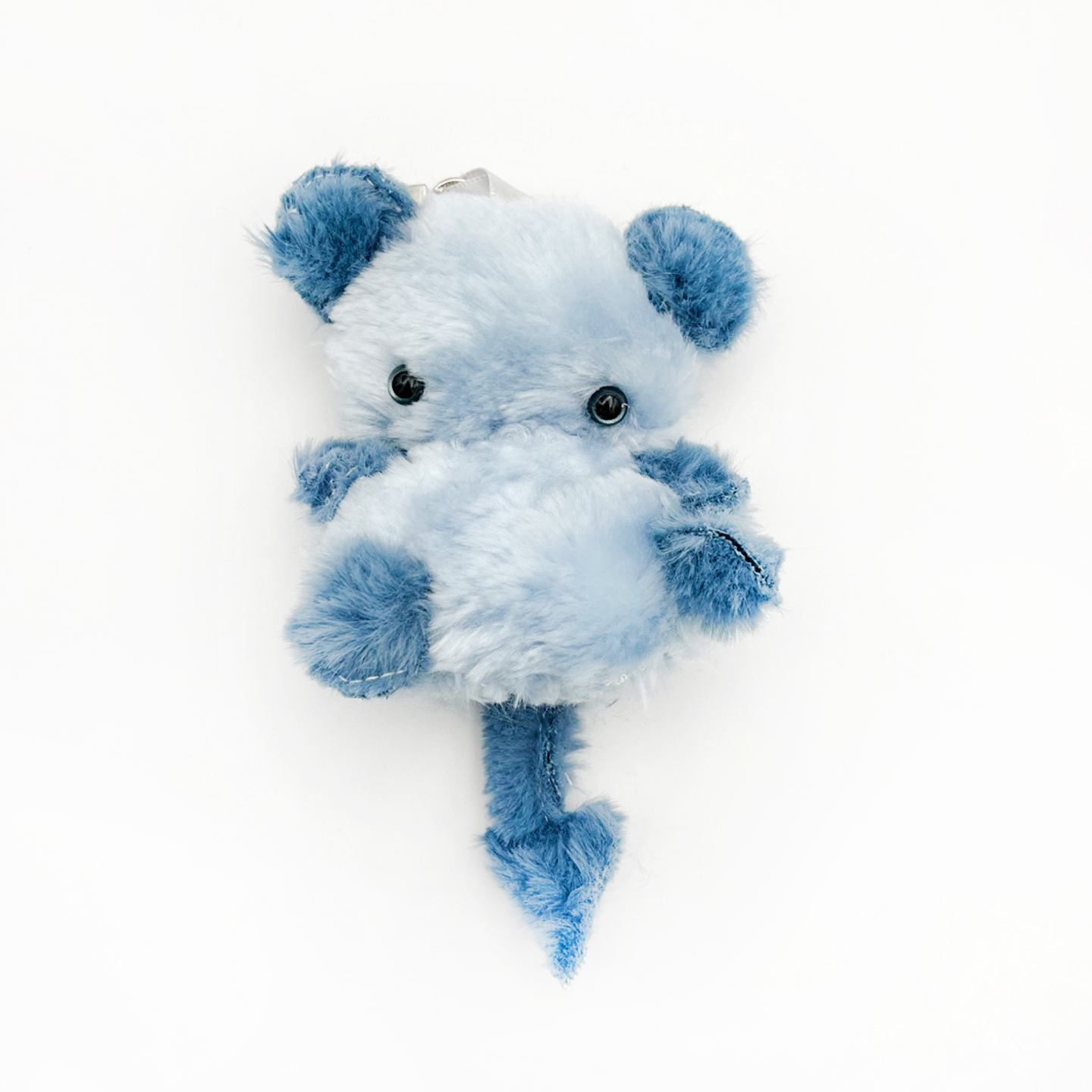 Blue tomory