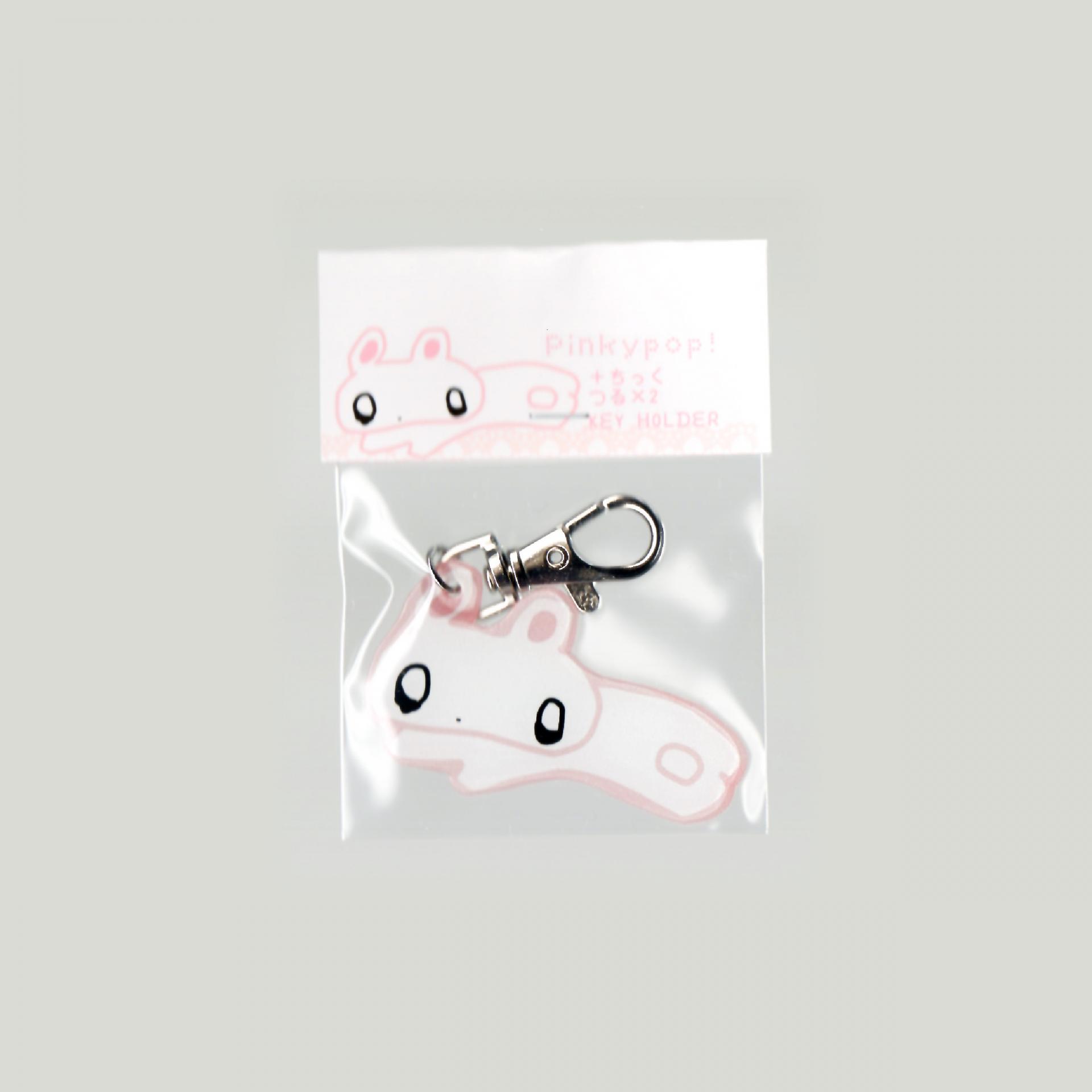 key holder