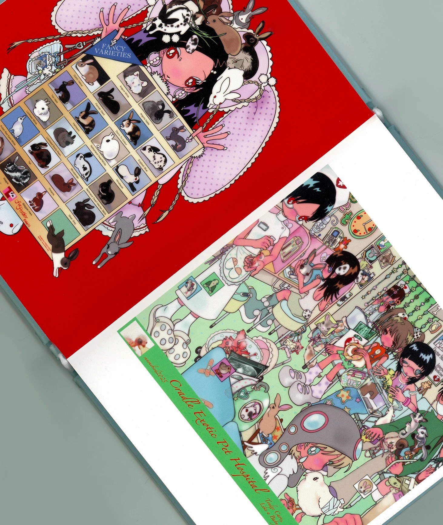 Pillow Castle art book