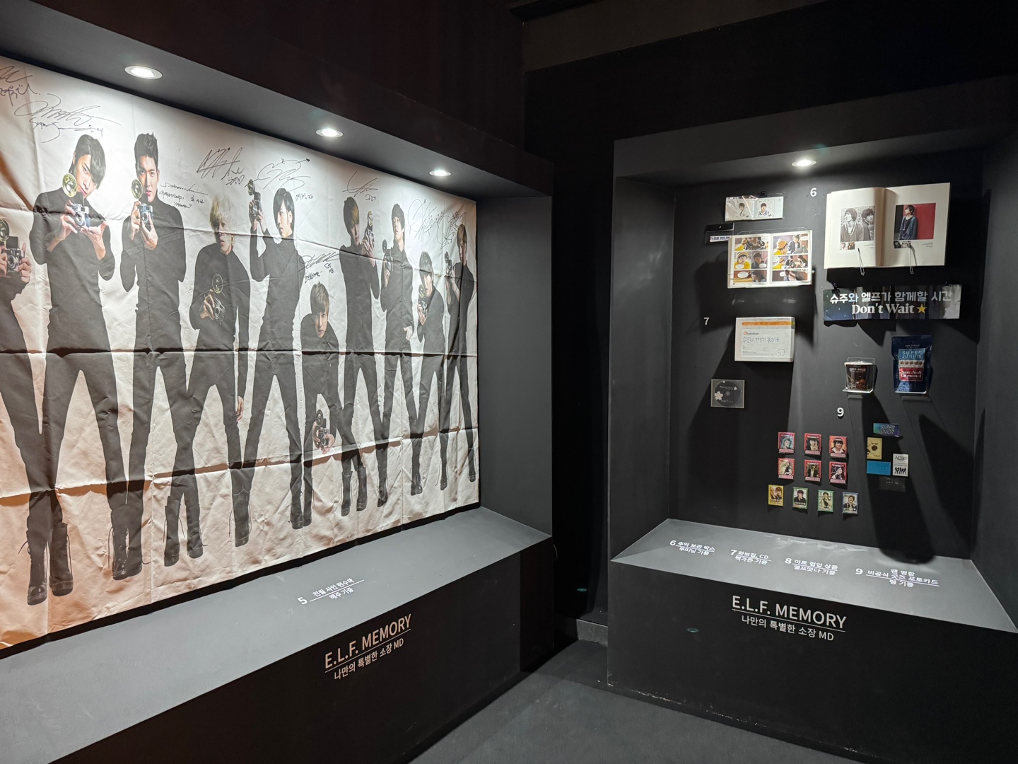 IMG_6426.JPG의 사본.jpg