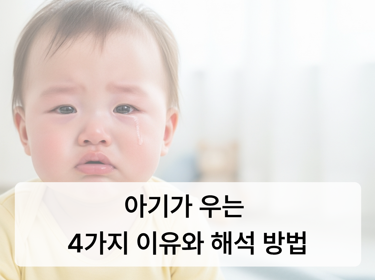 6222bec6f853b.png