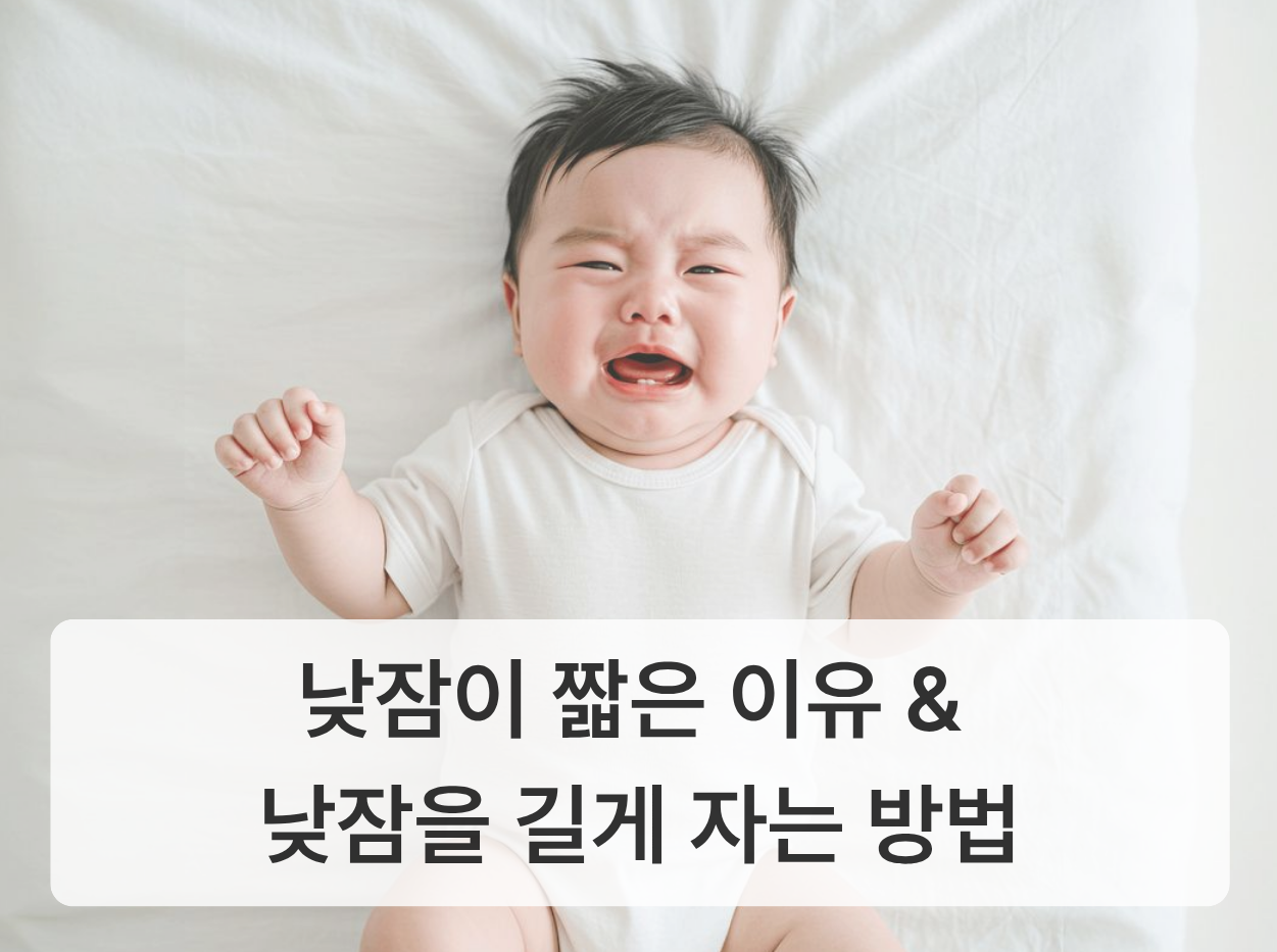 833a3984ff78c.png