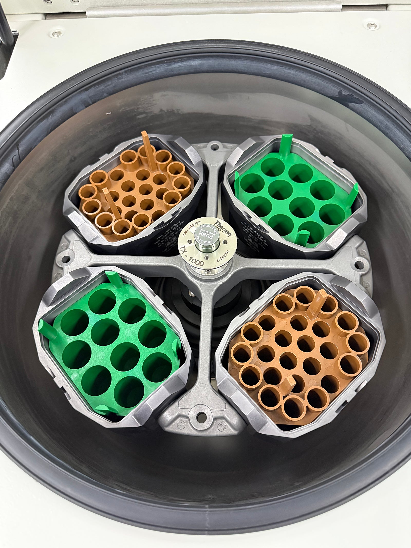 냉장 Multi 원심분리기 Thermo ST40R