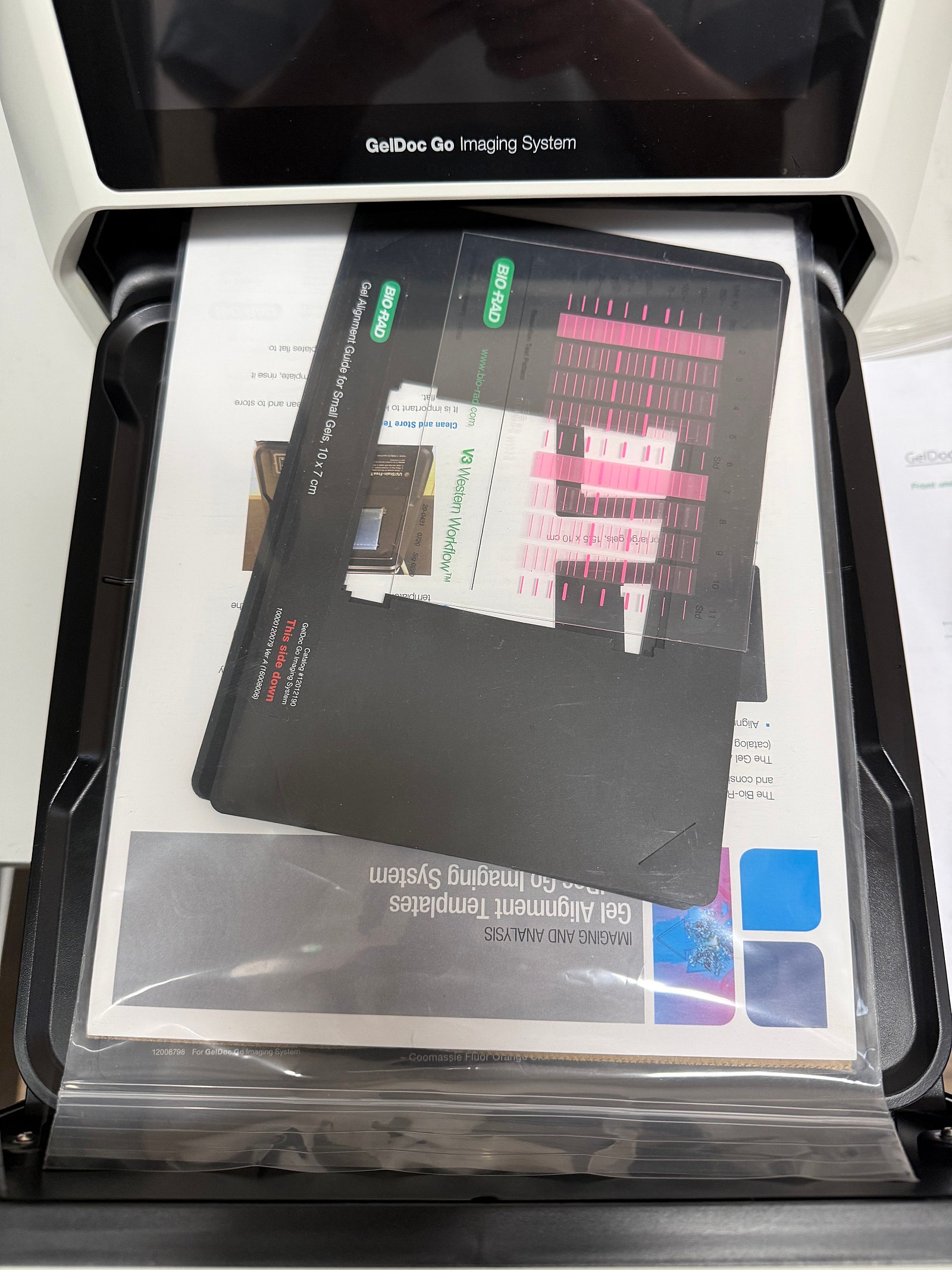 GelDoc Go Imaging System