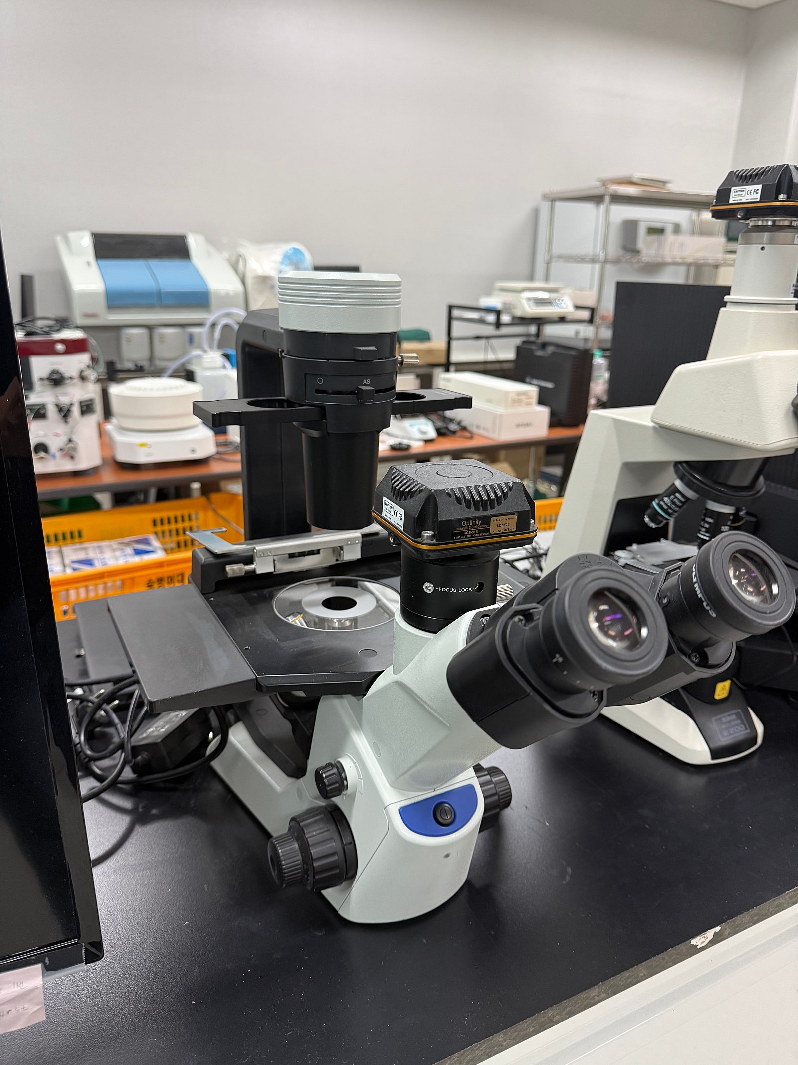 Olympus 도립현미경 Inverted Microscope