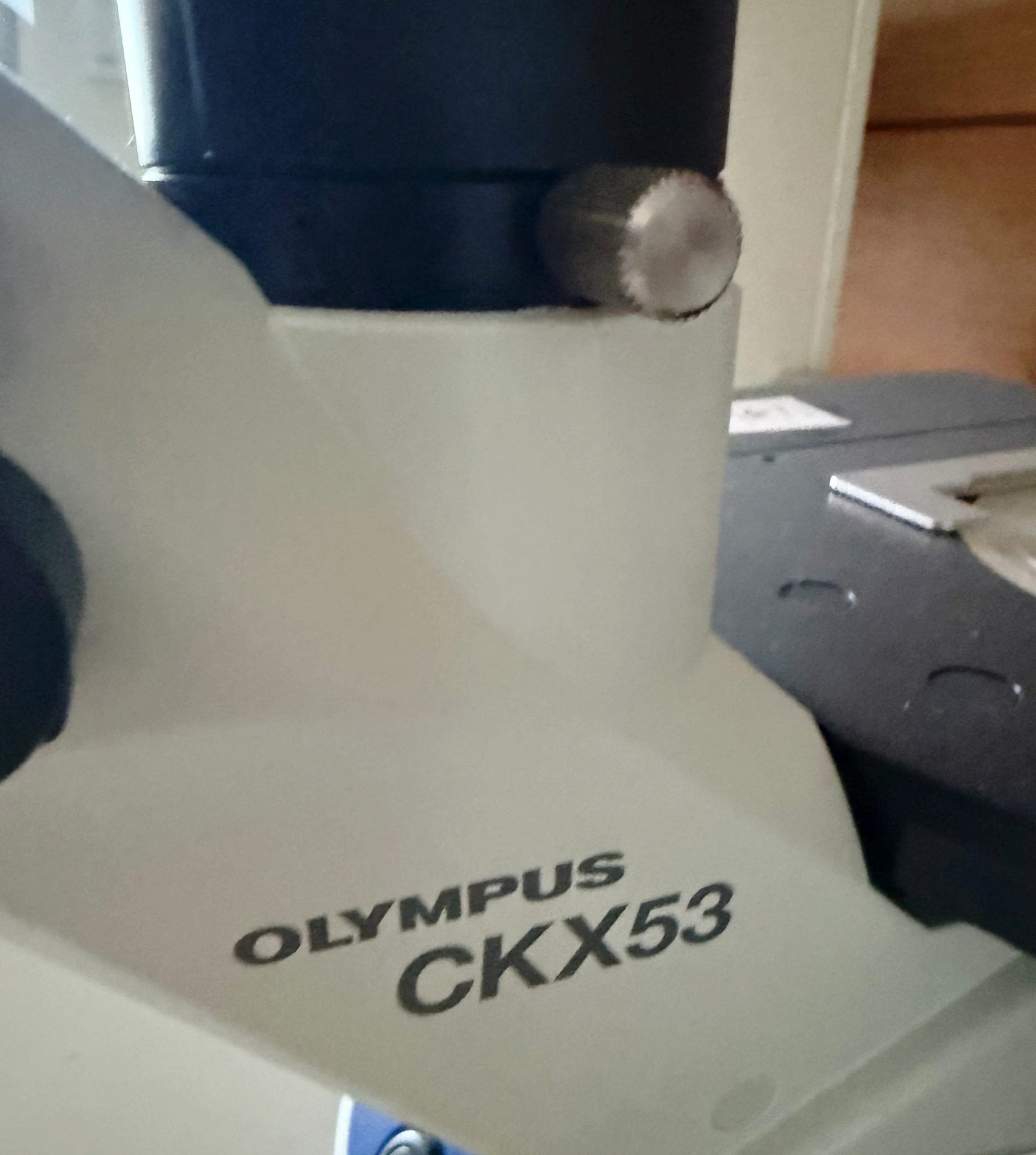 Olympus 도립현미경 Inverted Microscope