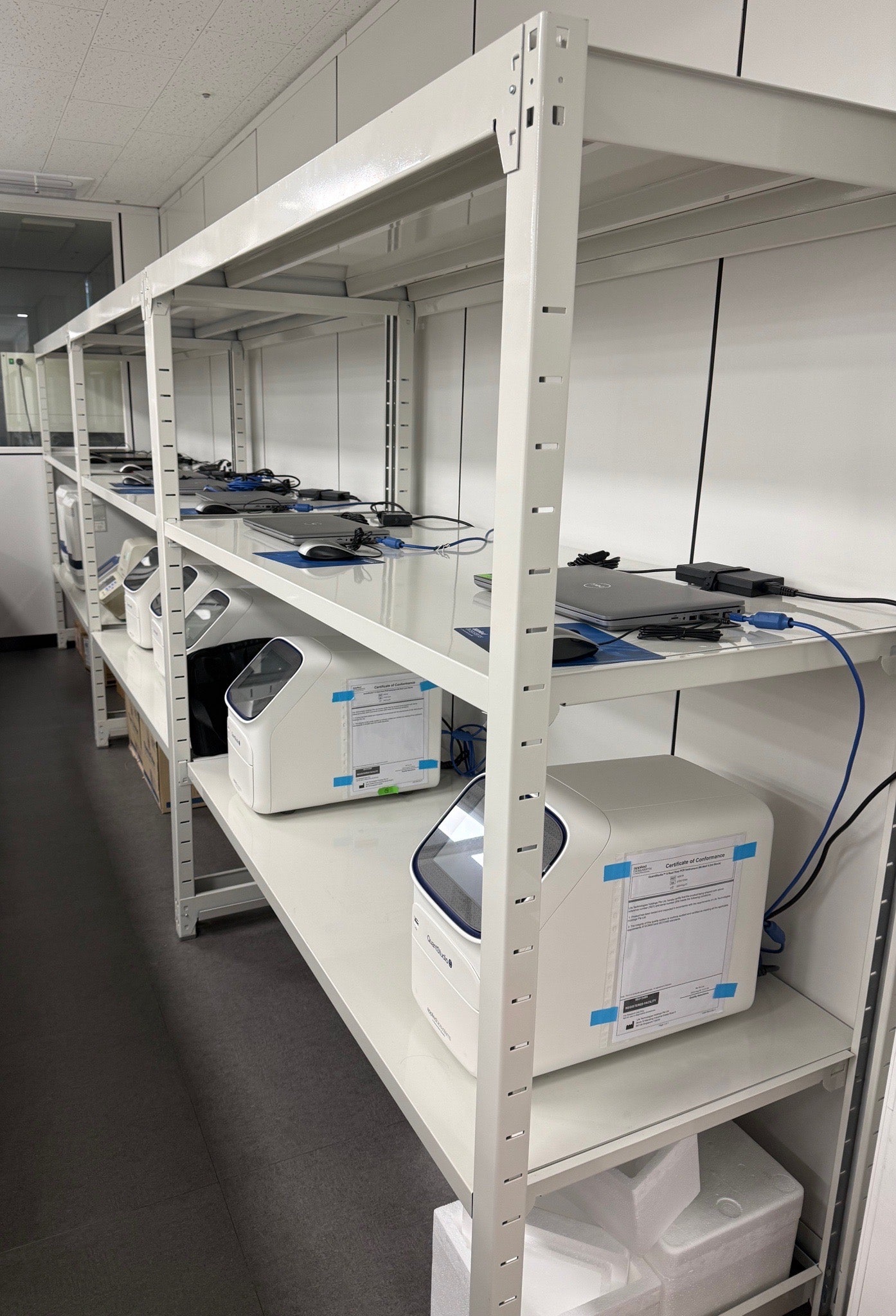 ABI Quantstudio 5 Realtime PCR