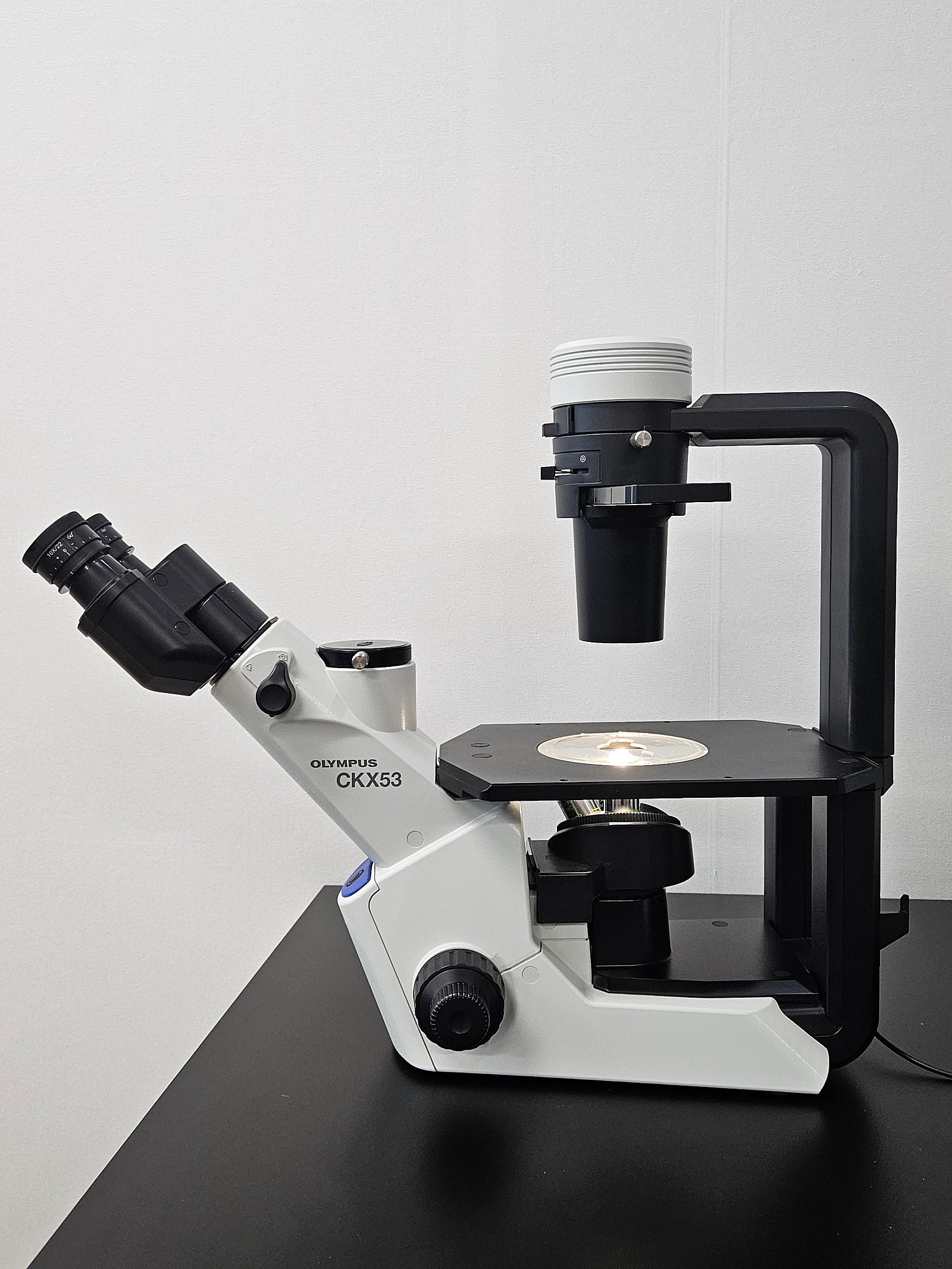 OLYMPUS CKX53 도립현미경