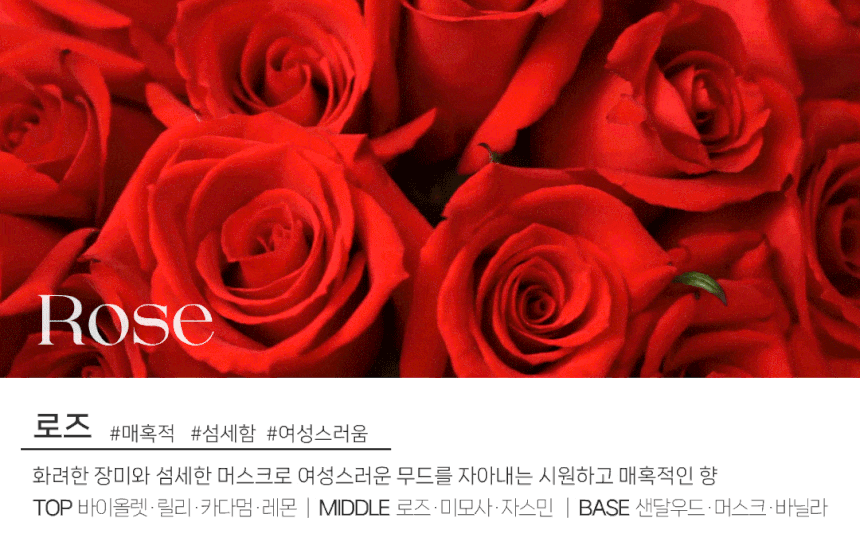 도그독 3세대 D-E1 차량용 방향제 자동차 디퓨저 프렌치불독 블랙체리
