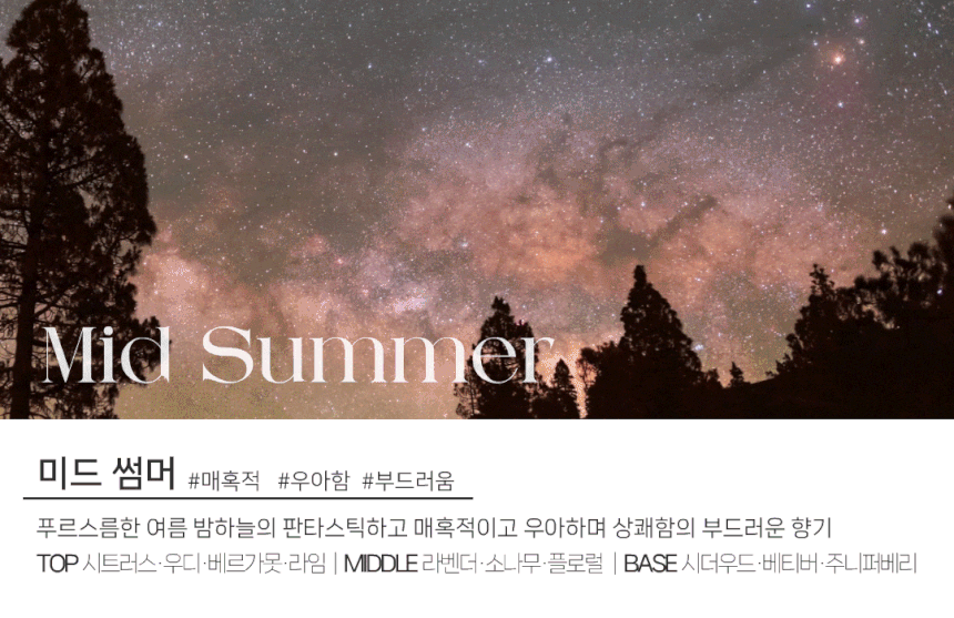 도그독 3세대 D-E1 차량용 방향제 자동차 디퓨저 프렌치불독 블랙체리