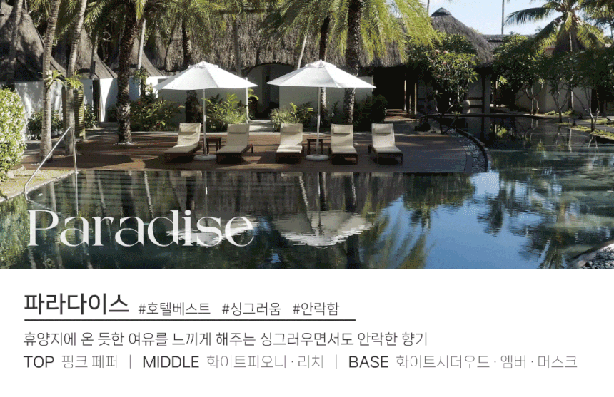 도그독 3세대 D-E1 차량용 방향제 자동차 디퓨저 프렌치불독 블랙체리